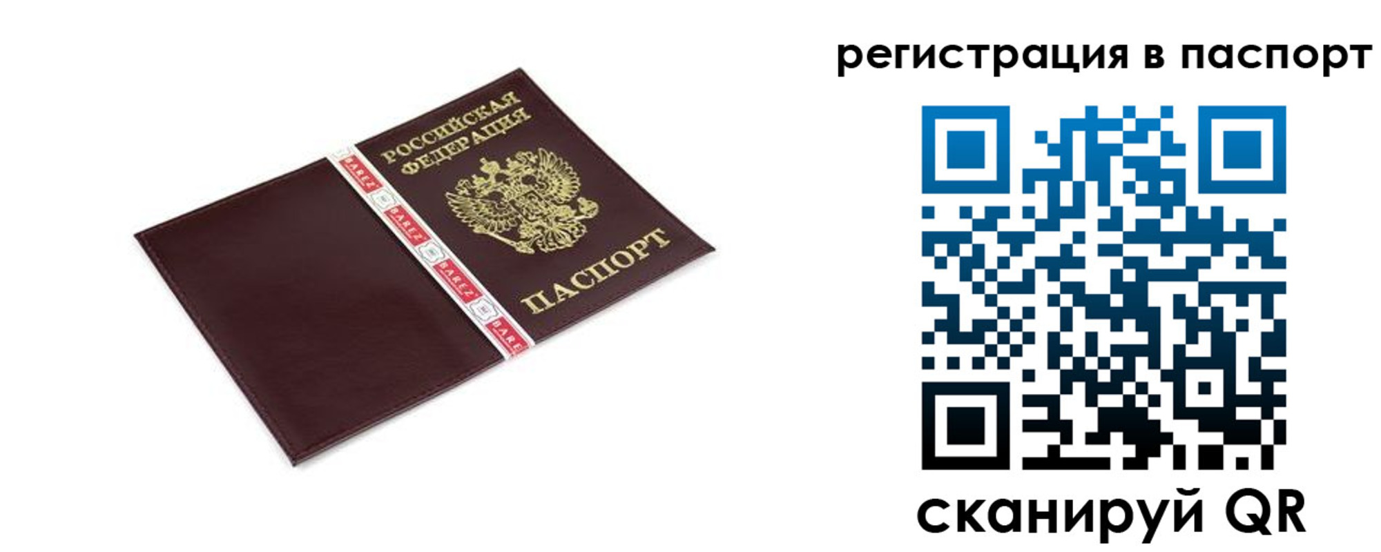 пропишу в квартире в Нововоронеже